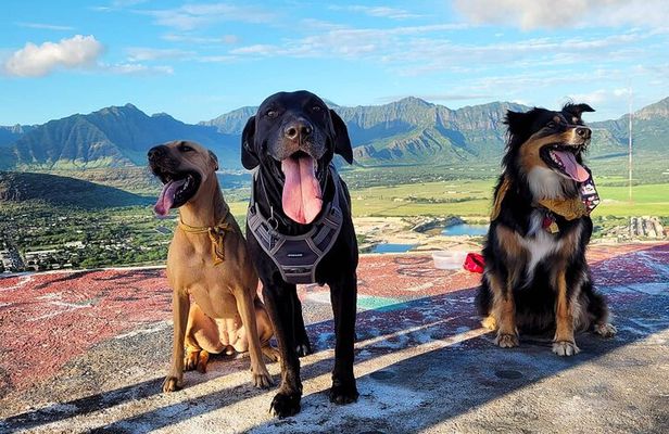 Private West Oahu Adventure Day with Pickup in Ko Olina