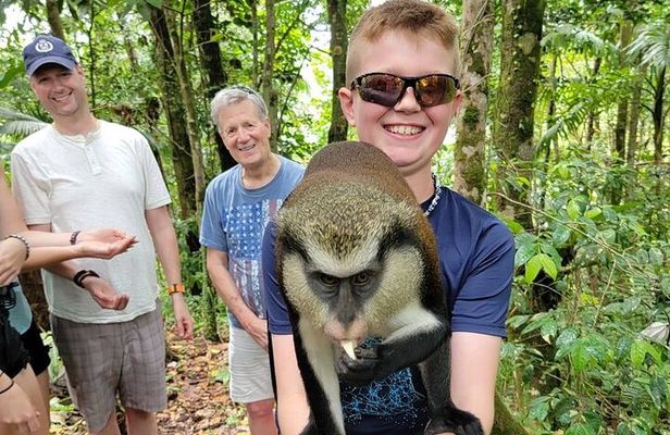 Grenada tropical escape Customizable Island Tour, nature explore