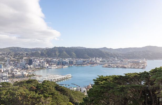 Half Day Guided Tour in Wellington including Cable Car