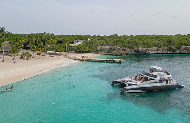 NEW - FULL DAY - Luxury Catamaran to Catalina Island