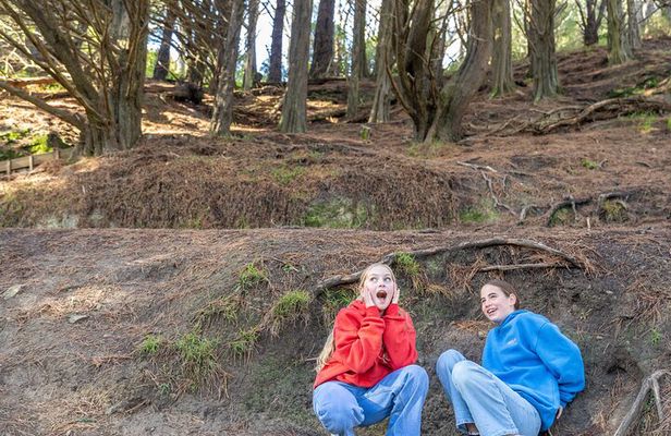 Lord of the Rings 1/2 day Tour to rule them all