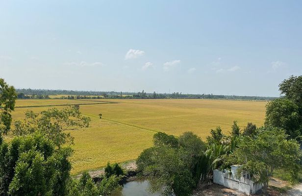 Explore Wetlands and Nature Reserve from Can Tho