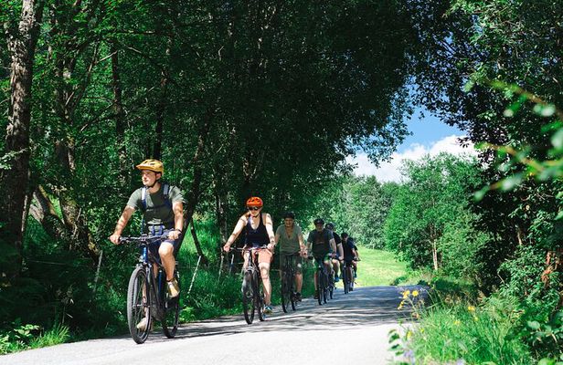 Olden: Fjord e-bike tour