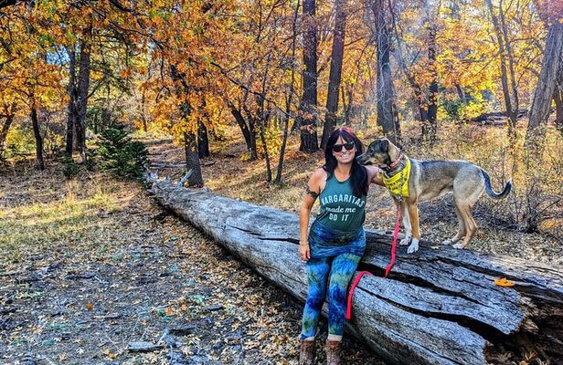 Big Bear Fall Colors Hiking Tour in Southern California