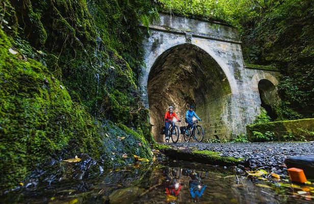 Remutaka Rail Trail eBike Explorer Cycle Tour