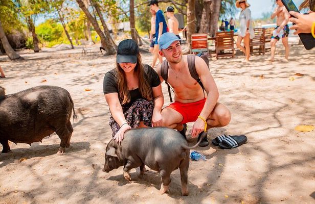 Koh Tan and Pig Island Half-Day Tour by Speed Catamaran