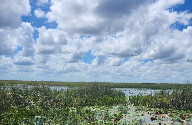 Everglades Eco Tour: Airboat, Wildlife & up 2 Private Islands