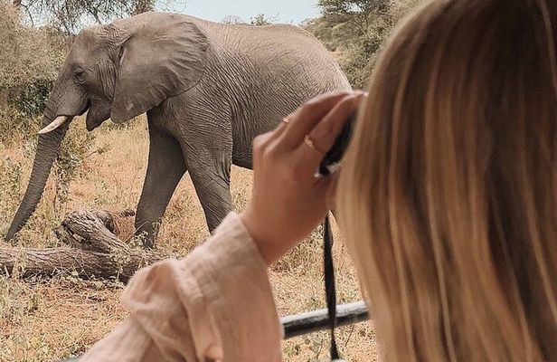 3-Day Manyara, Tarangire and Ngorongoro Crater
