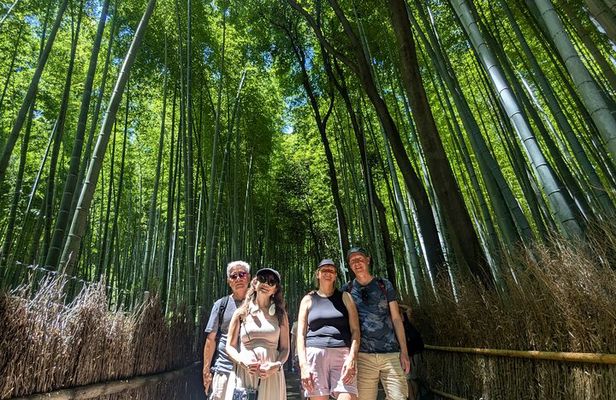 Private Walking Tour in the Arashiyama Bamboo Forest with Guide