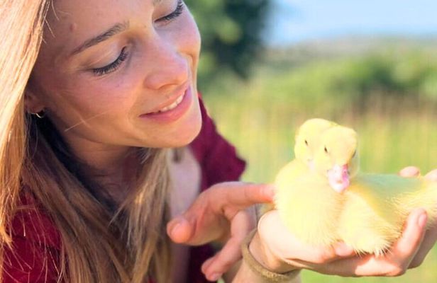 Gallura Picnic in the Farm with Animals