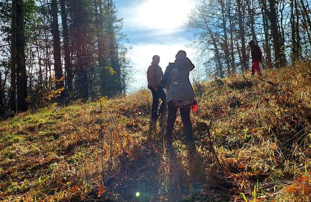 Truffle Hunting and Lunch in Piedmont Trattoria