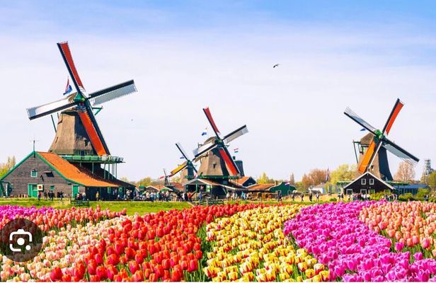 Windmills Country side tour Zaanse Schans Cheesefactory-Volendam