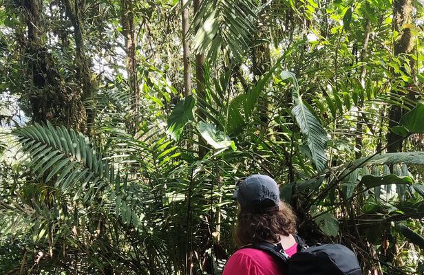 Private Hike through the Waterfalls of the Mindo Cloud Forest