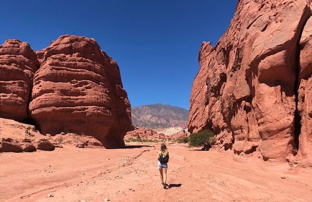 The Calchaqui Valley Winery and Scenery Tour in Cafayate