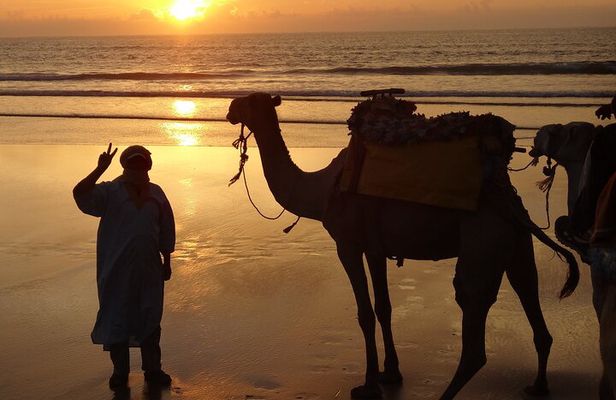 Day Tour on Dromedary and Overnight Stay Near Essaouira Morocco