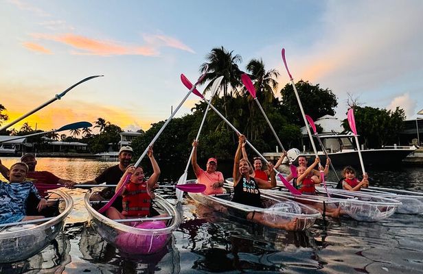 Guided Night Kayak Adventure Tour in Luminous Lagoon
