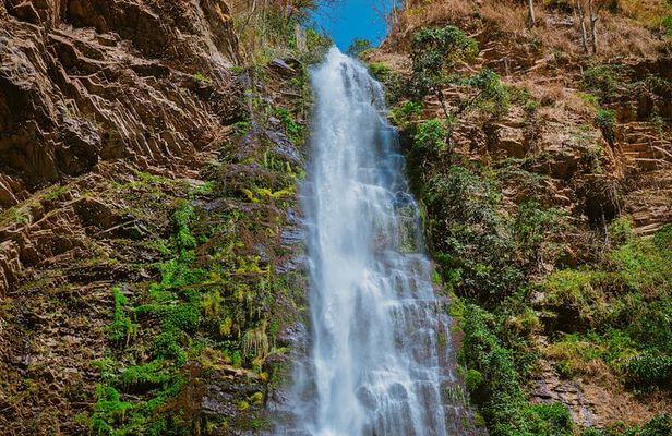 Wli Waterfall and Tafi Atome Monkey Sanctuary (Day Visit)