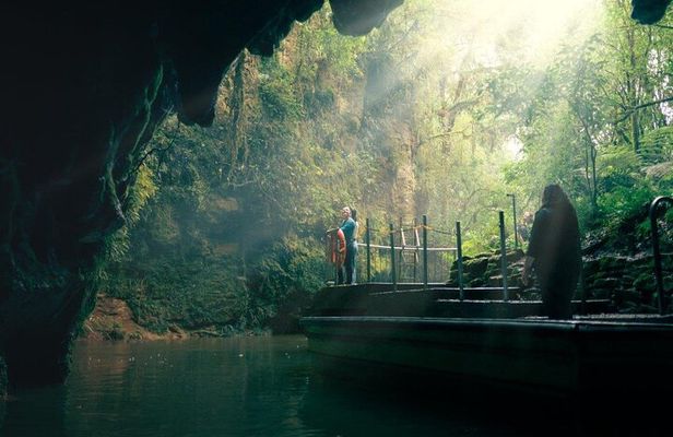 2 Day Tour in Auckland Hobbiton, Waitomo, Rotorua and Taupo