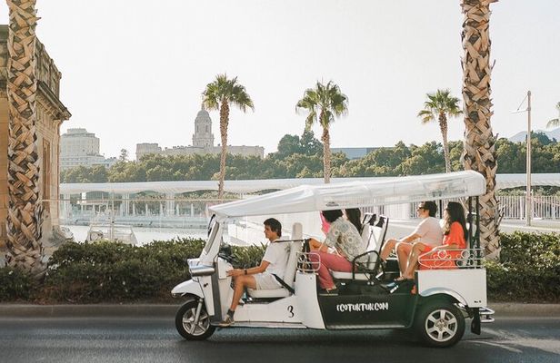 Express Tour of Malaga in Private Eco Tuk Tuk