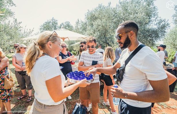 Olive Oil Tour with tasting Wine & Traditional Food