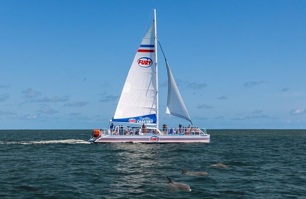 Dolphin Watch & Harbor Tour in Historical St. Augustine