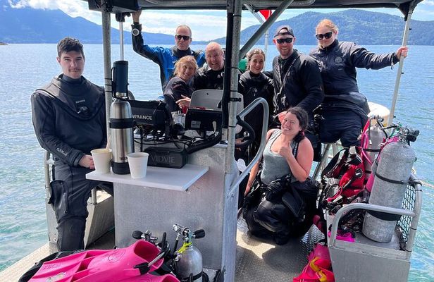 Vancouver: Snorkeling Seals Kayaking Scenic Boat Tour