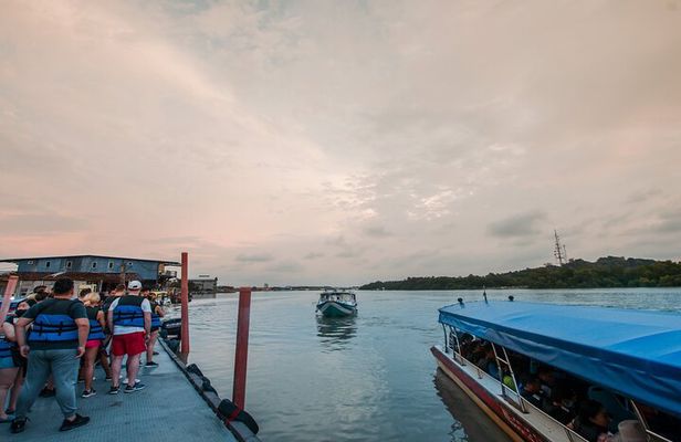 Private Fireflies Tour with Blue Tears and Seafood Dinner