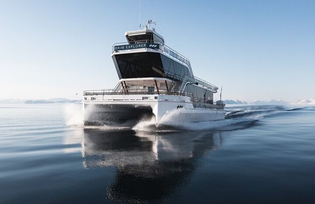 Beiarfjord & Saltstraumen Cruise with Guide