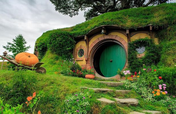 Private Hobbiton & Blue springs & Redwood forest from Auckland