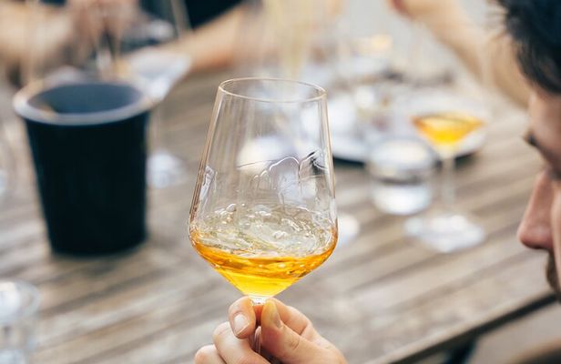 Private Wine Tasting Experience in Ljubljana