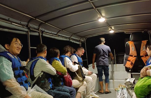 Shared Fireflies Tour with Blue Tears and Seafood Dinner