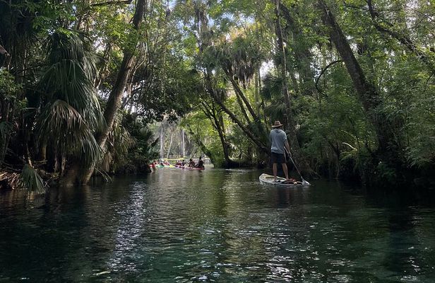 Guided Clear Kayak Tours on the Silver River