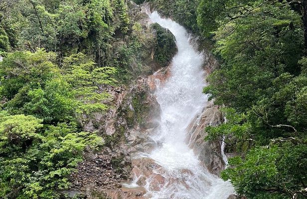 Rainforest Volcano Tour