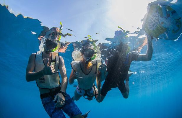 Kauai's Ultimate Guided Shore Snorkel (NO BOAT): North Anini