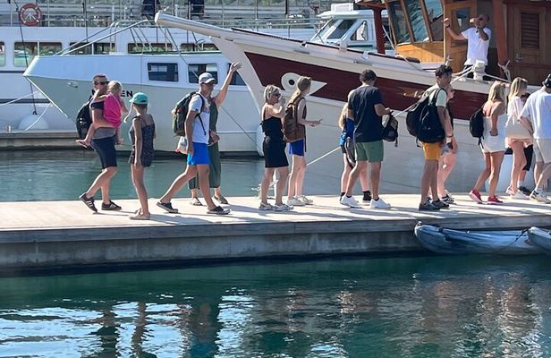 From Zadar Krka Waterfalls with Skradin Beach and Boat Cruise 