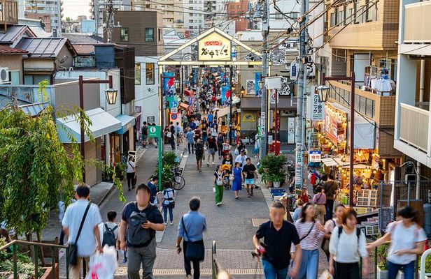 Tokyo: Yanaka Historic Streets Guided Tour & Asakura Museum Visit