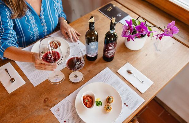 Gourmet Wine & Food Tasting