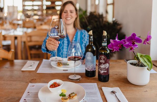 Winery Tour & Gourmet Tasting in Montalcino
