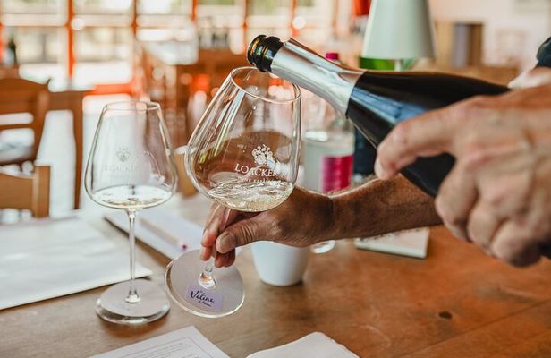 Winery tour & wine tasting in Montalcino