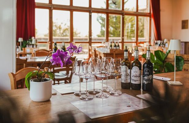 Classic Wine Tasting in Montalcino