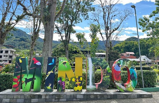Tour to Mindo, Private and Shared