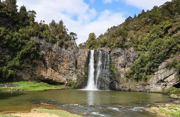 Private VIP Guided Auckland Waterfalls Tour