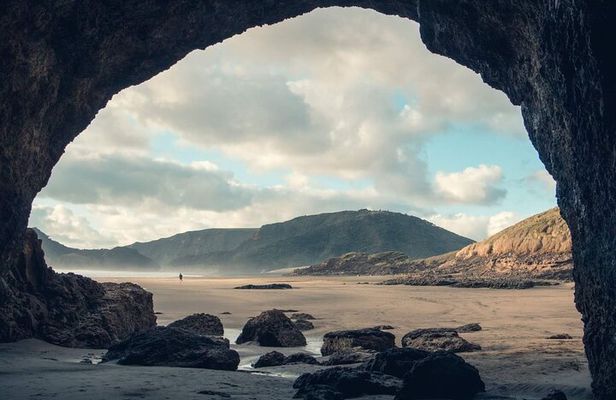 Auckland Natural Caves and Tunnels Private VIP Tour