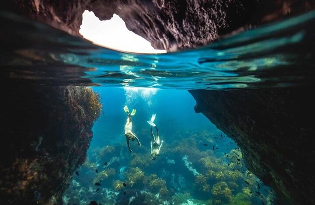 Guided Snorkeling and Island Exploration in Auckland