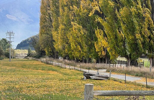 Full Day Sightseeing Tour To Discover Queenstown's Scenic Wonder
