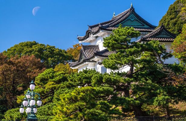 Tokyo Shogun's Castle Walk: Imperial East Gardens Shared Tour