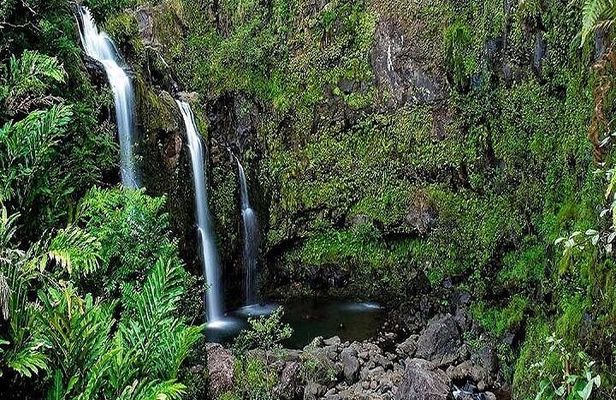 Deluxe Road to Hana Rainforest and Waterfall Experience from Maui