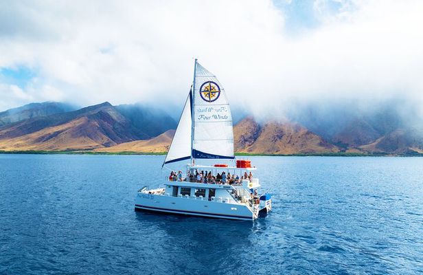 Four Winds Maui Afternoon Snorkel Tour to Coral Gardens