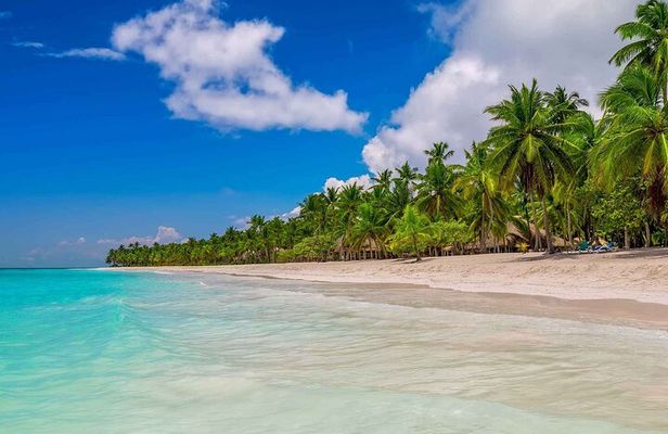 All-Inclusive Guided Tour to Saona Islands from Punta Cana