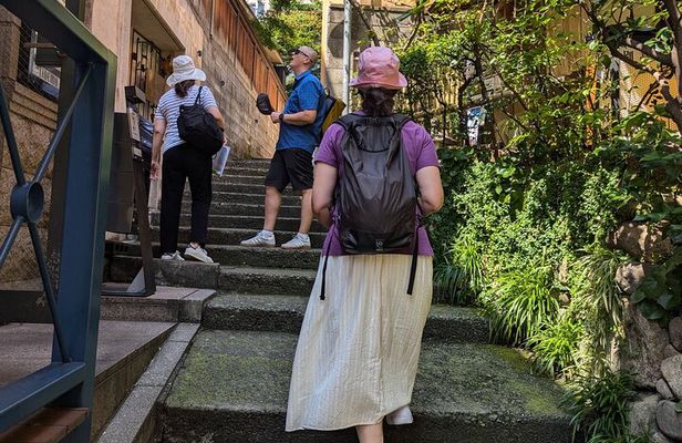 Private Walking Tour: The Little Kyoto of Tokyo, Kagurazaka